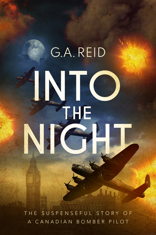 Nonfiction Book Cover Design: Into the Night