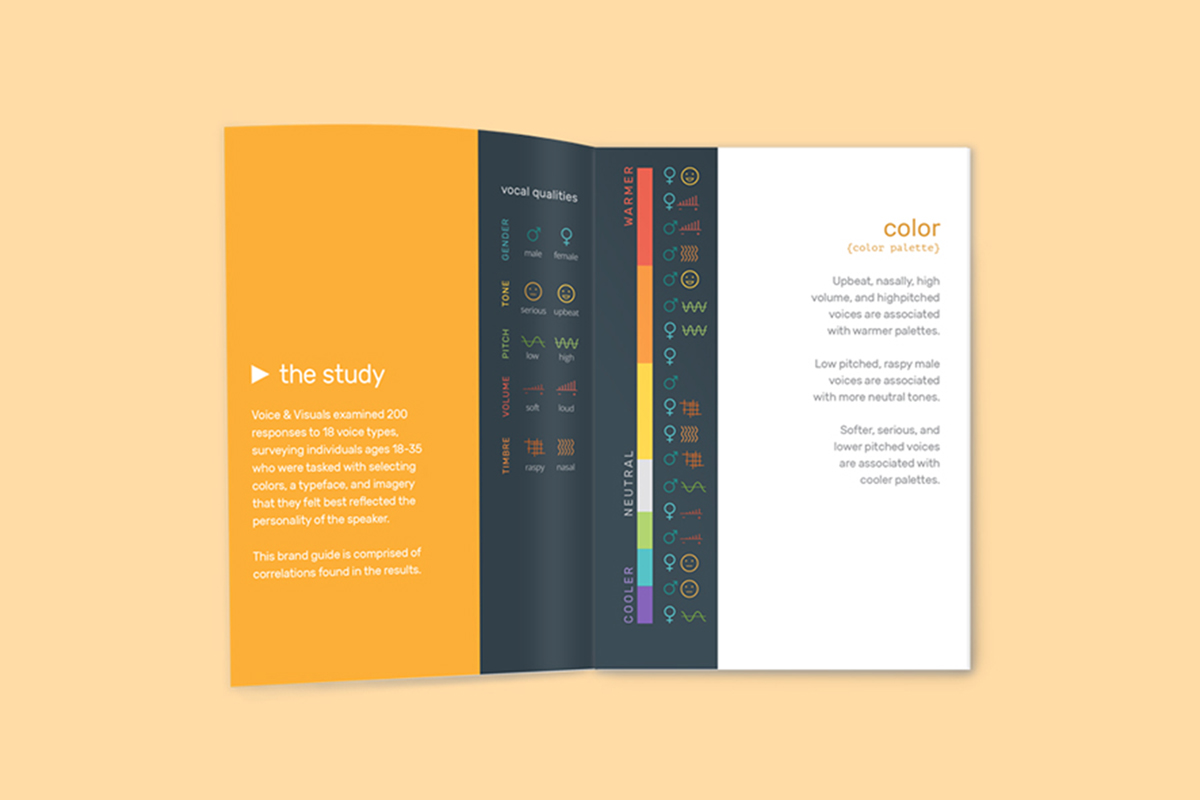 Voice and Visuals: Brand Guide Design